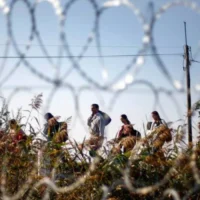 Hungary offers free tickets to Brussels for migrants in response to EU fines