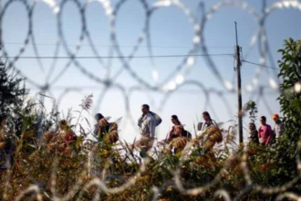 Hungary offers free tickets to Brussels for migrants in response to EU fines