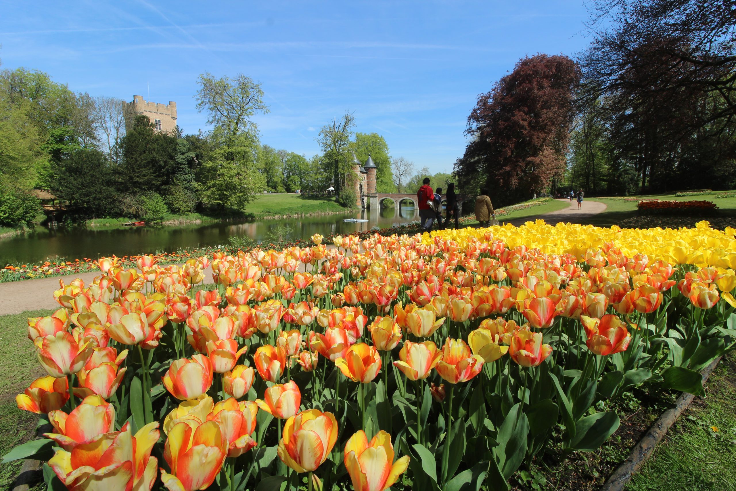 Flower gardens surrounding Groot Bijgaarden Castle during Floralia Brussels flower festival