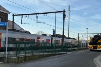 Idegem driver dies after train collision at level crossing