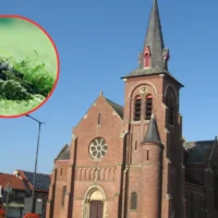 Illegal Dutch waste used under 3 turf fields in Oud-Turnhout & Ravels