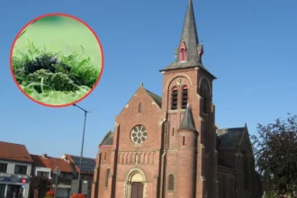 Illegal Dutch waste used under 3 turf fields in Oud-Turnhout & Ravels