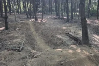 Illegal cycling trail found in Grimbergen Lintbos Mayor acts