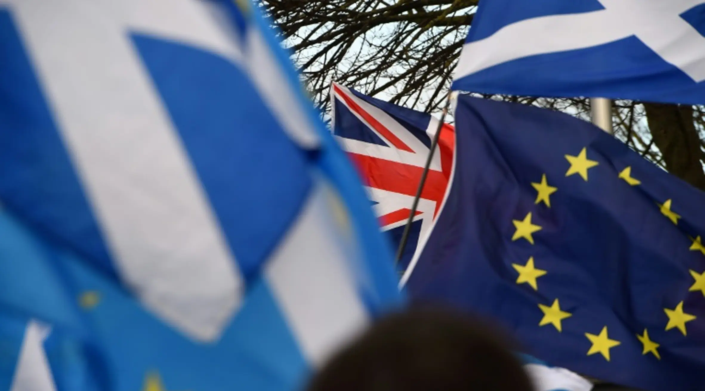 Independent Scotland would rejoin EU