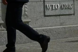 Indonesia urges EU to end biodiesel duties after WTO support