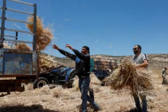 Israel expands West Bank settlements amid sanction threat