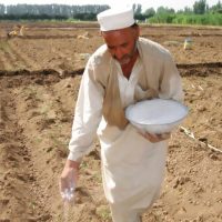 tractor applying fertiliser during fertiliser shortage crisis