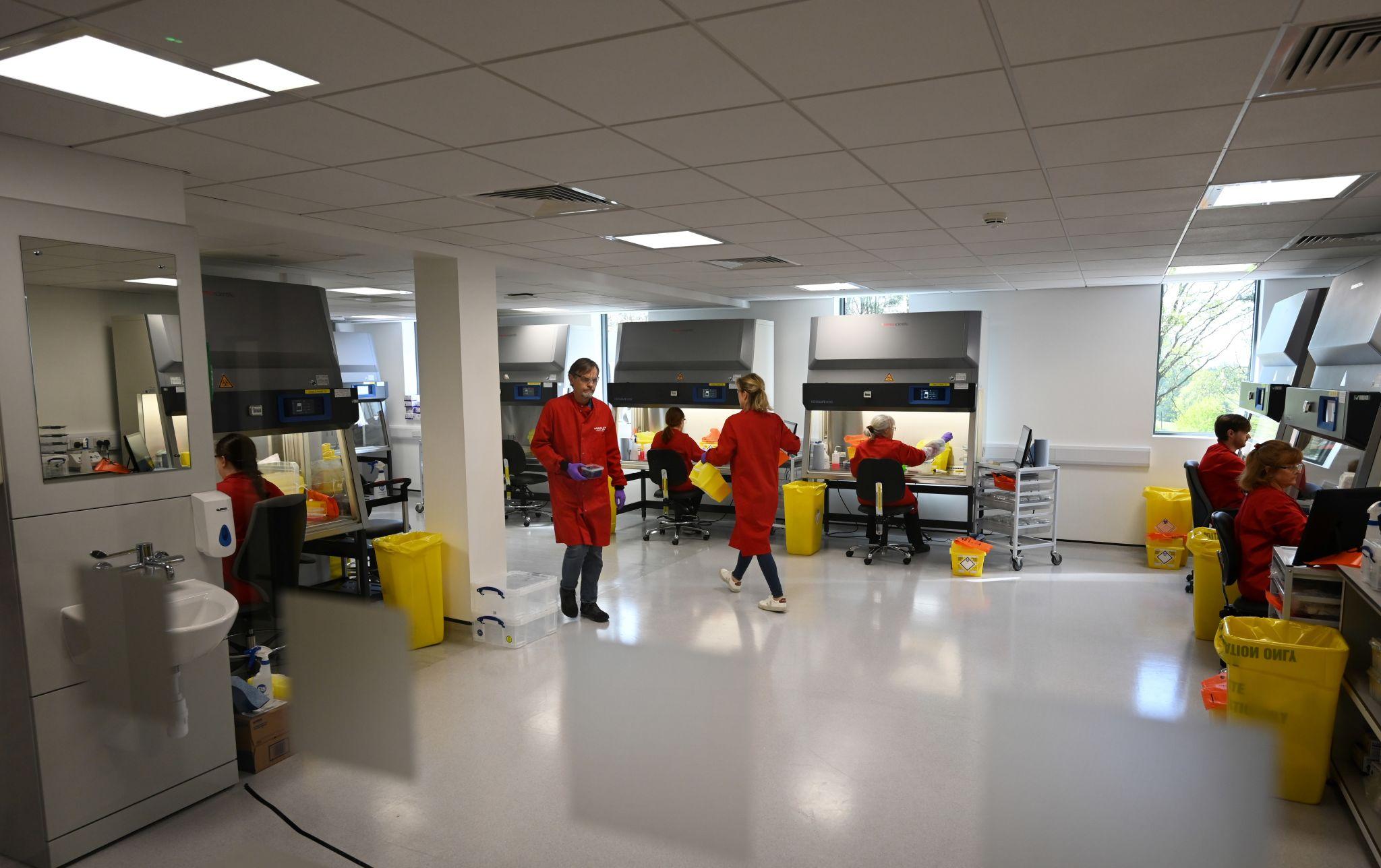 UK public health news showing British scientists researching hantavirus treatment in laboratory