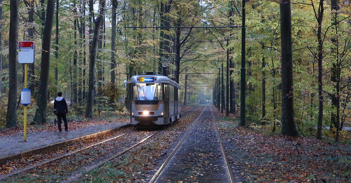 Storm Boelo causes tram disruption in Brussels as Line 44 services face suspension.
