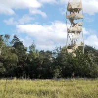 Kalmthout uses AI fire detectors after the Kempen heath fire