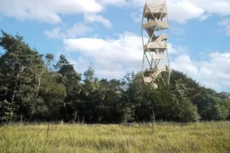 Kalmthout uses AI fire detectors after the Kempen heath fire