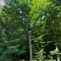 Kiewit Domain in Hasselt opens new family Bivouac site