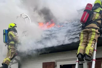 Kortenberg fire brigade rescues cat from burning house