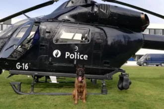 Kortrijk police K-9 Wolf euthanized at 7.5