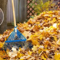 Kortrijk reuses autumn leaves to create natural soil improver
