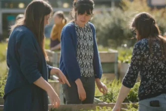 Kortrijk revives flax tradition with Im2 Flax project