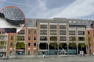 Kristel Van den Boom restores René Vandeplas' piano grave in Leuven