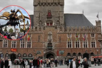 La Grande Araignée makes 1st walk practice in Bruges for BRUSK