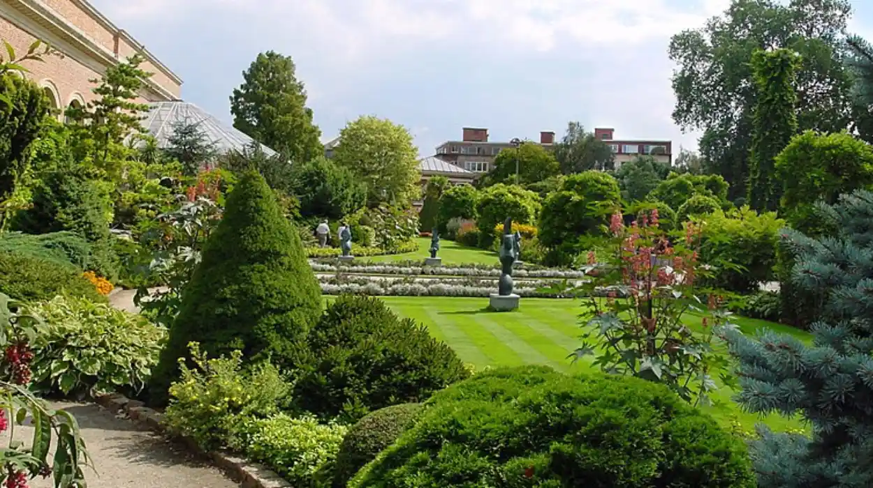 Leuven’s Botanical Garden opens Drought Garden with 100+ plants