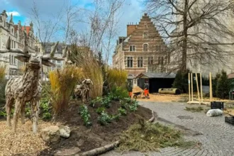Leuven's Winter Garden
