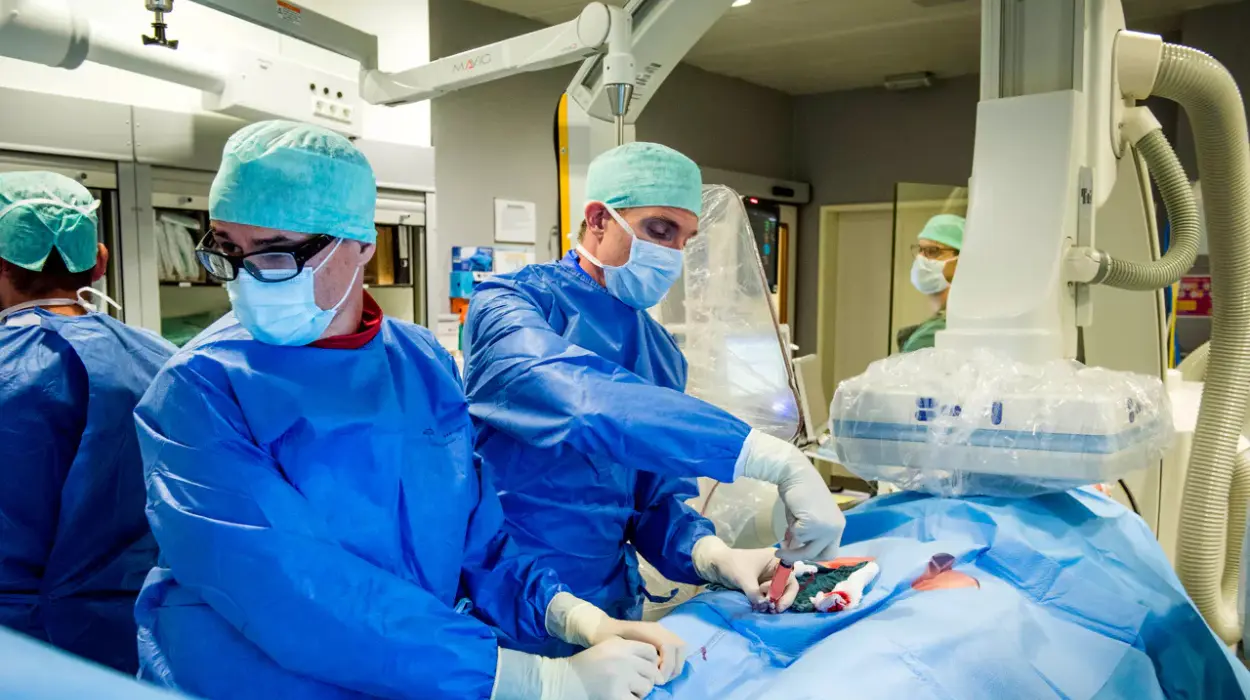 Leuven's new wireless mini pacemaker Garweg's breakthrough for 80% of patients