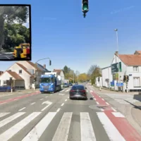 Liedekerke starts tree action plan led by Mayor Abele