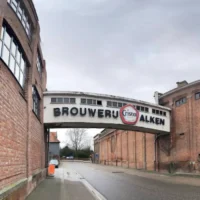 Limburg Antwerp native Kenny Willems becomes Alken-Maes CEO