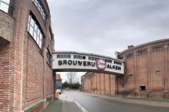 Limburg Antwerp native Kenny Willems becomes Alken-Maes CEO