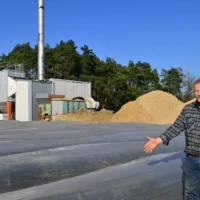 Limburg Asparagus farmers harvest early with heated fields