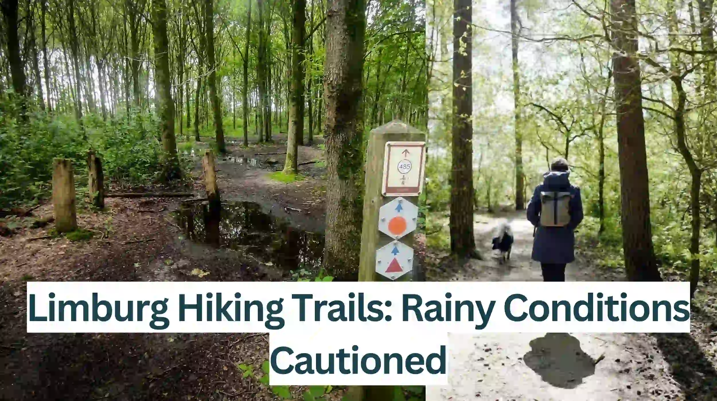 Limburg-Hiking-Trails-Rainy-Conditions-Cautioned