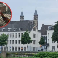 Limburg police seize 31 fighting cocks in Diepenbeek forest