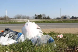 Litter fines tripled since 2020 tobacco firms face €25.5M Bill