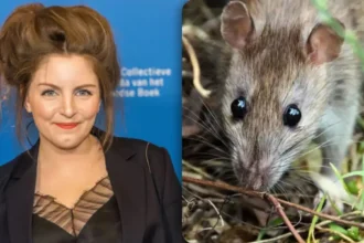 Lize Spit's video of rats in Anderlecht raises concerns