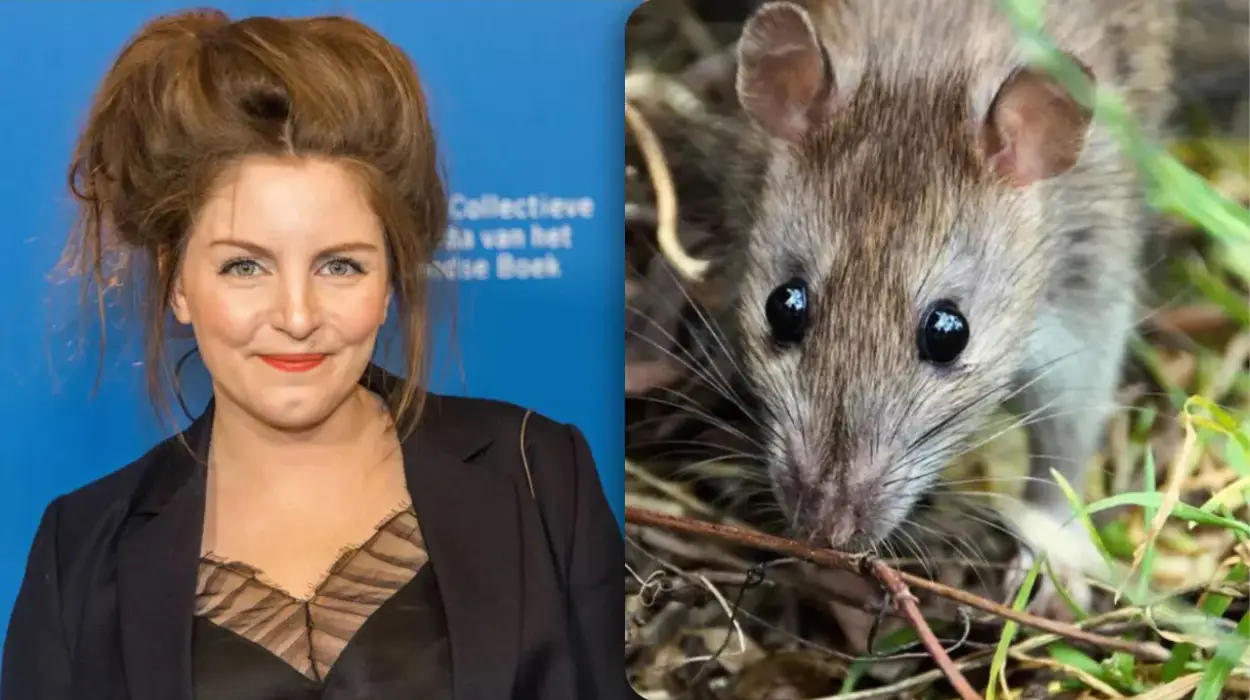 Lize Spit's video of rats in Anderlecht raises concerns
