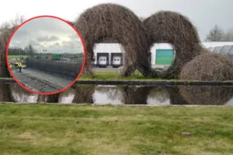 Infrabel, Lochristi & NMBS to build €5M Beervelde bridge