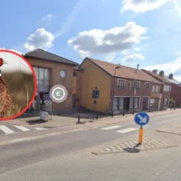 Lubbeek man fined €8K for releasing 21 Pheasants illegally