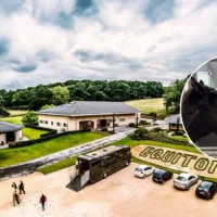 Lummen Equitom uses music to calm 150 horses during fireworks