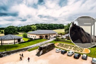 Lummen Equitom uses music to calm 150 horses during fireworks