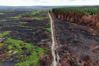 Wildfire exposure across Belgium as smoke covers the High Fens nature reserve