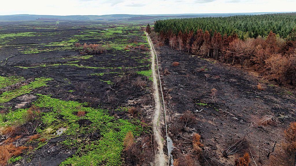 Wildfire exposure across Belgium as smoke covers the High Fens nature reserve