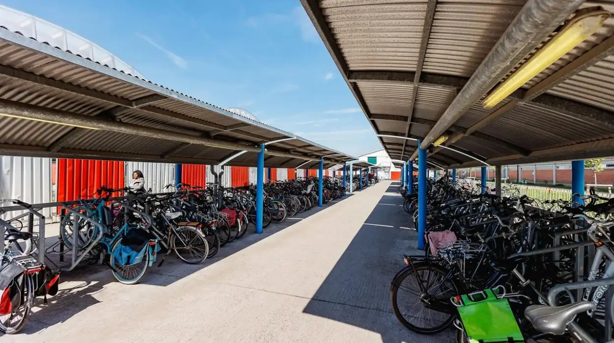 MA arrested for multiple bicycle thefts in Mechelen, facing prison sentence