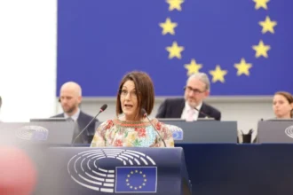 MEP Agirregoitia Backs Regionalized EU Cohesion Policy Against Extremism
