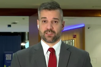 MEP András László praised Georgia's vote-counting 