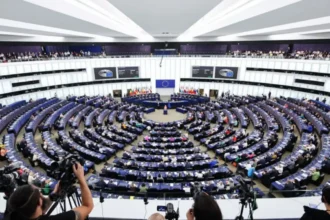 MEP Pasquale Tridico elected chair of EU committee on tax matters
