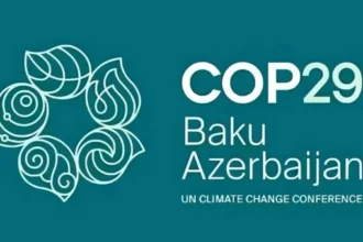 MEPs demand global cooperation on climate finance at COP29