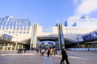 MEPs met Georgia’s opposition groups for fair election reform