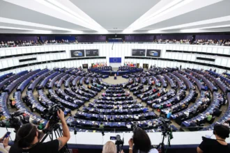 Malta's MEPs outline key focus areas for their term