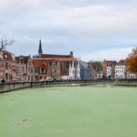 Mayor De fauw plans to clear Duckweed from Bruges' Kapucinenrei canals
