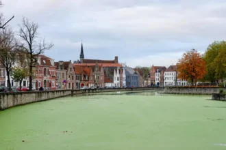 Mayor De fauw plans to clear Duckweed from Bruges' Kapucinenrei canals