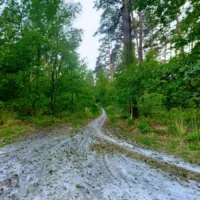 Mayor of As urges better forest fire detection